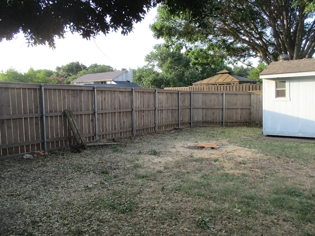 Cleared yard after professional tree removal in Prattsville